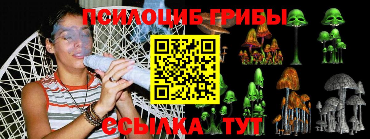 Междуреченск  Псилоцибиновые грибы Psilocybine cubensis  Псилоцибиновые грибы Psilocybine cubensis  Вход с VPN 
